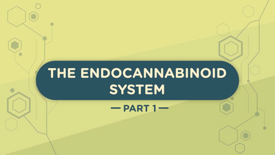 The Endocannabinoid System, Part 1