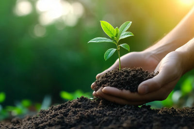 Grow A Forest With Resynate